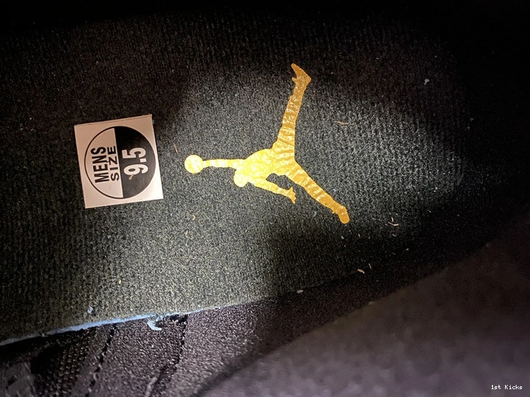 12  Jordan CT8013-005 “Dark Air Concord” 0227